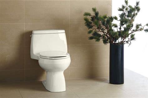 Kohler Santa Rosa Toilet Review - Pros, Cons & Verdict - Shop Toilet