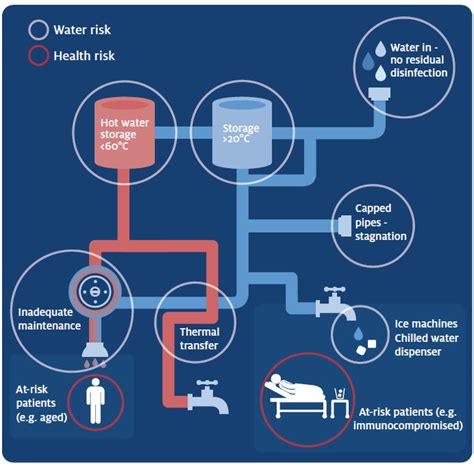 Pseudomonas Management: A Snapshot - What? Where? How?