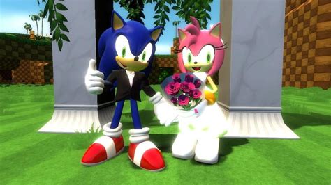 SonAmy Wedding by CyotheLion on DeviantArt Cute Relationship Goals, Cute Relationships, Shadow ...