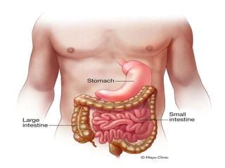 Gastro Enteritis.pptx