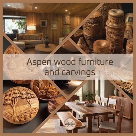 Is Aspen a Hardwood Or Softwood? (2023 Ultimate Guide!)