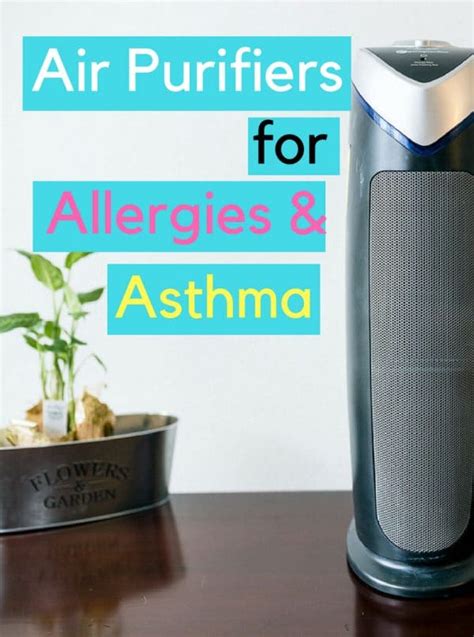 9 Best HEPA Air Purifiers for Allergies and Asthma (Dust, Mold and Pet)