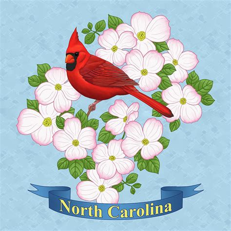 North Carolina State Bird And Flower: Cardinal In Dogwood, 54% OFF