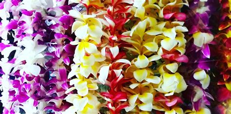 Nā Lei: A Unique Hawaiian Custom | Hawaii Life Vacations