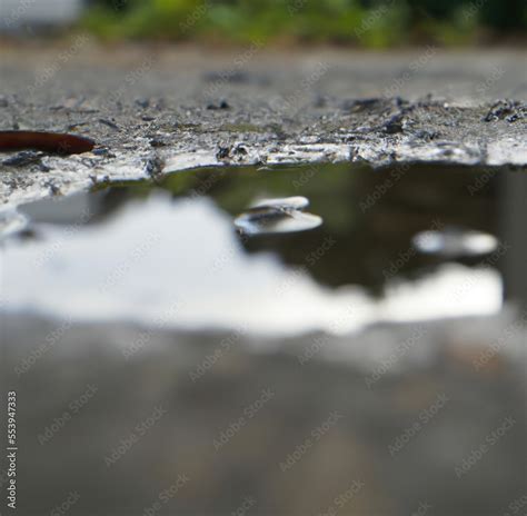 Image of close up of rain puddle with reflection and mud surround created using Generative AI ...