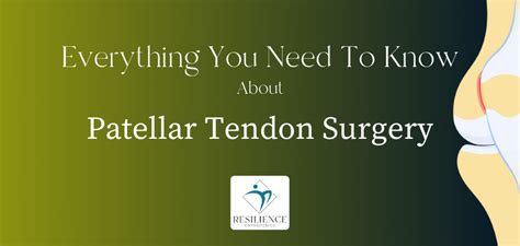 11 Best Patellar Tendon Tear Exercises, patellar tendon - plantecuador.com