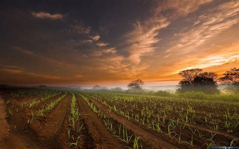 3d Agriculture Wallpapers - Wallpaper Cave