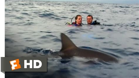 Open Water (4/11) Movie CLIP - Was That a Shark? (2003) HD - YouTube