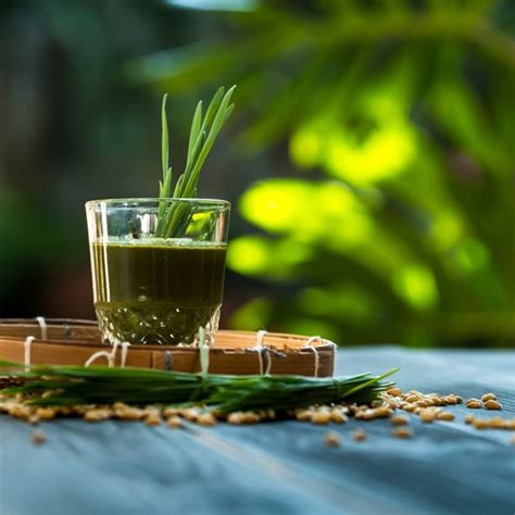 Wheatgrass Juice Benefits