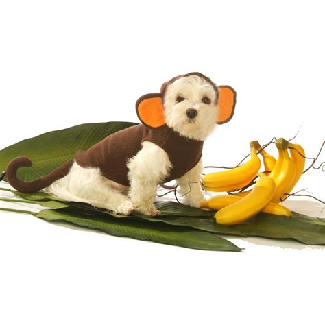 Monkey Dog Costume by Doggie Design | BaxterBoo