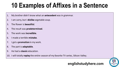 10 Examples of Affixes in a Sentence - English Study Here