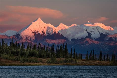 Mount Denali previously known as McKinley from Wonder Lake Denali National Park Alaska Poster ...