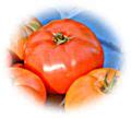 Category:Brandywine (tomato) - Wikimedia Commons