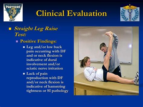 PPT - Thoracic and Lumbar Spine Special Tests and Pathologies PowerPoint Presentation - ID:1288385