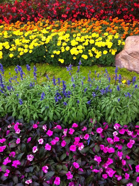 Rainbow Garden! | Rainbow garden, Beautiful flowers garden, Planting a rainbow