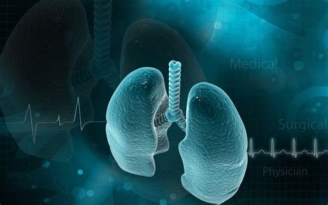 Mucus in Cystic Fibrosis Lungs May Be a Disease Biomarker