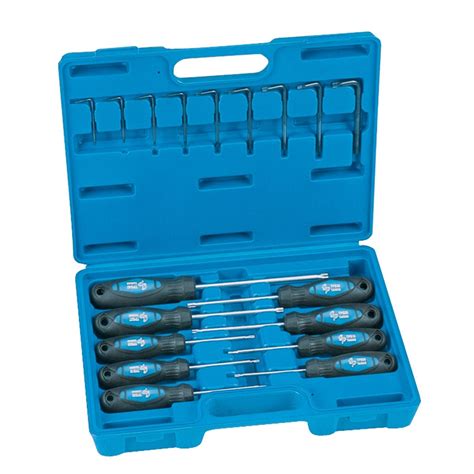 Tamper Proof TorxÂ® Screwdriver and Key Set - 18-Pc