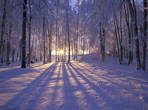 Winter Outdoors Wallpaper