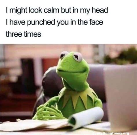 25 Kermit the Frog Memes That Are Insanely Hilarious - SayingImages.com