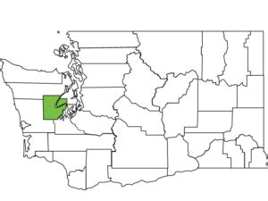 Mason County Spotlight – Washington State Association of Counties