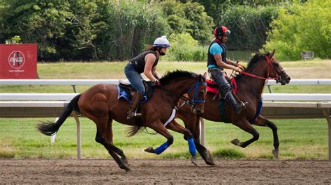 Monmouth Park horse racing betting picks