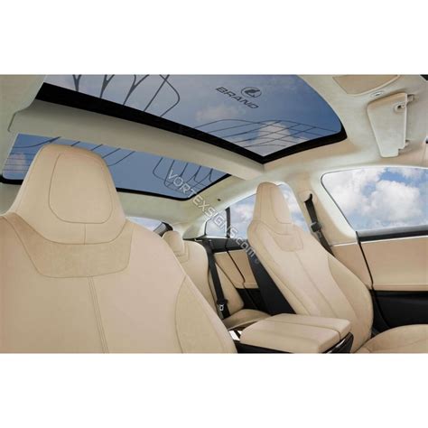 Tesla Model S sunroof decal: Maybach style graphics