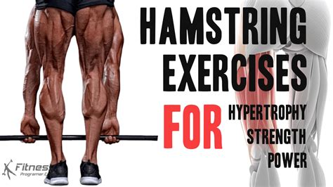 15 Best Hamstring Exercises For Strong And Functional Legs