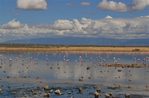 KENYA CAMPERS: LAKE MAGADI