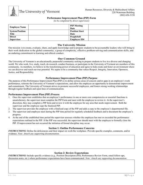 Performance Improvement Plan (PIP) Form