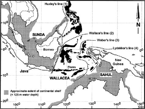 The Wallacea region (shown in black). Wallace’s line (2), demarks... | Download Scientific Diagram