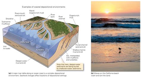 Learning Geology: Recognizing Depositional Environments