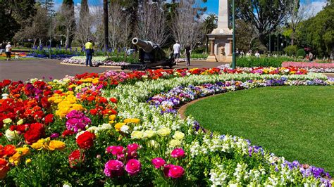 Toowoomba's 2023 Carnival of Flowers Program Is Here — and There'll Be ...