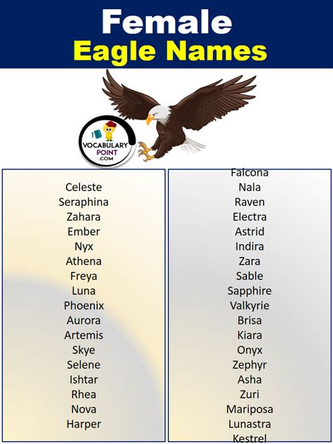 300+ Best Eagle Names | Famous Eagle Names - Vocabulary Point