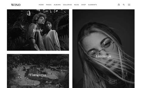 20 Best Photography WordPress Themes -Designer's Pick | Neuron Themes