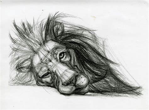 Pin by CELIA RIVERA on KENNER'S BOARD | Pencil drawings of animals ...