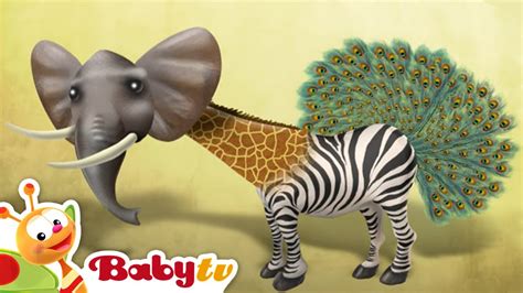 Squirrel Riddle Games With Animals BabyTV | atelier-yuwa.ciao.jp