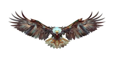 Painted a flying eagle on a white background front. Art flying eagle on ...