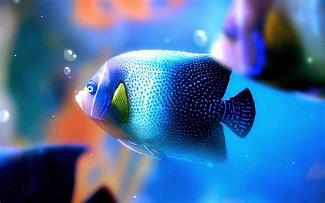 Abstract art, Beautiful Fish HD wallpaper | Pxfuel