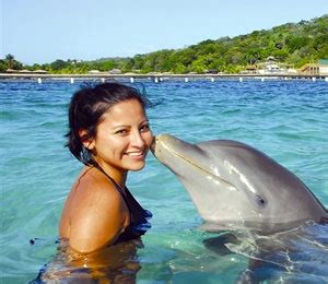 Nassau Bahamas Dolphin Programs | Bahamas Dolphin Encou