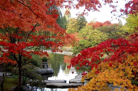 The Top 10 Places To See Fall Foliage In Seattle