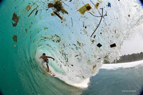 Surfing trash island: photographer captures startling images of garbage-strewn waves in ...