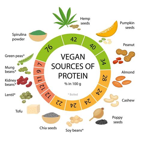 How To Get Enough Protein As A Vegan: The Complete Guide