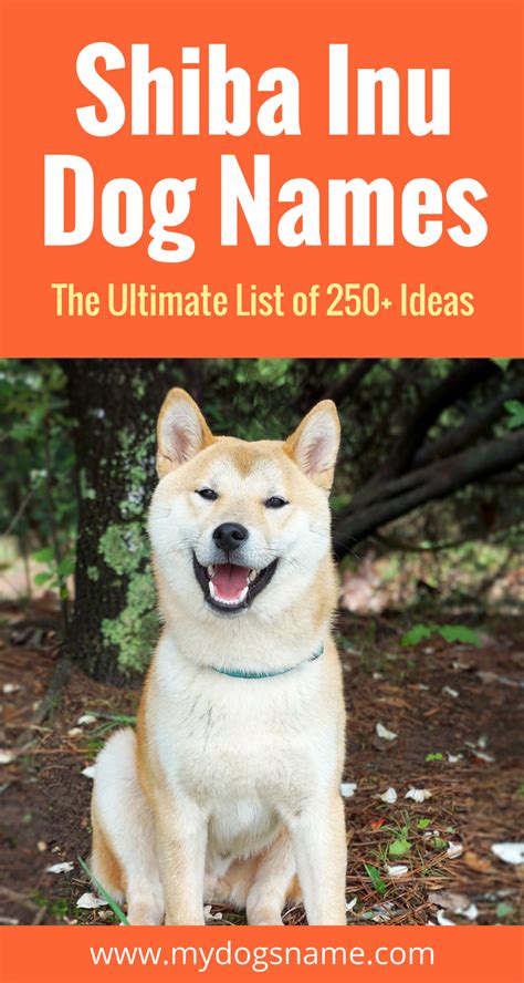 250+ Shiba Inu Names - [The Ultimate List] - My Dog's Name | Dog names, Girl dog names, Puppy names