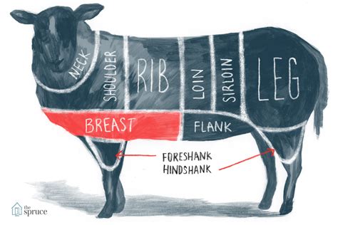 How To Cut Lamb Meat at Heather Graf blog