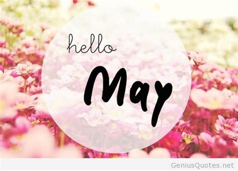 Hello May Wallpaper - WallpaperSafari