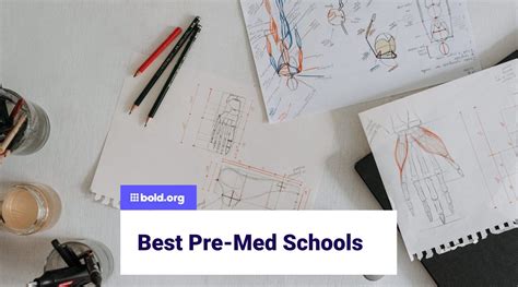 Best Pre-Med Schools | Bold.org | Bold.org