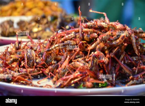 Street food in Pattaya, Thailand Stock Photo - Alamy