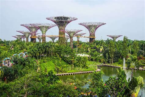 10 Scenic Gardens In Singapore For A Heavy Dose Of Awesomeness