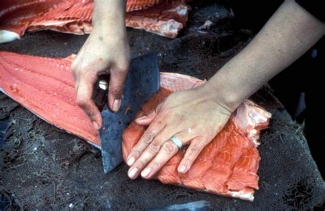 Free picture: processing, salmon, fish, meat