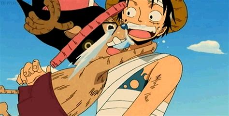 Luffy and Chopper | One piece anime, One piece funny, One piece pictures